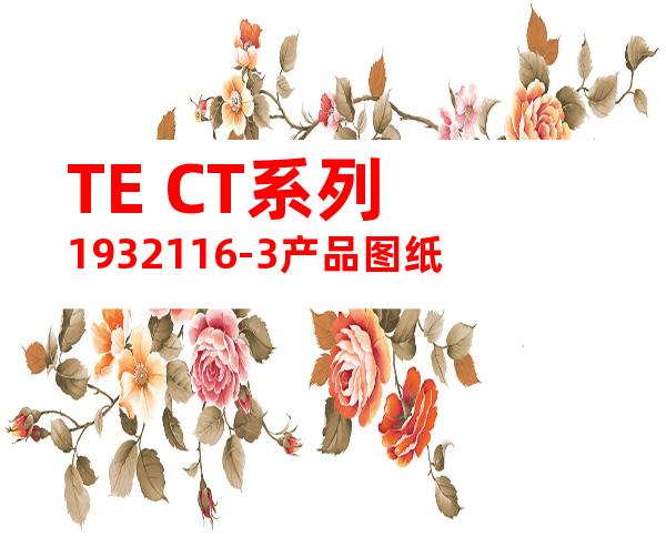 TE CT系列 1932116-3产品图纸